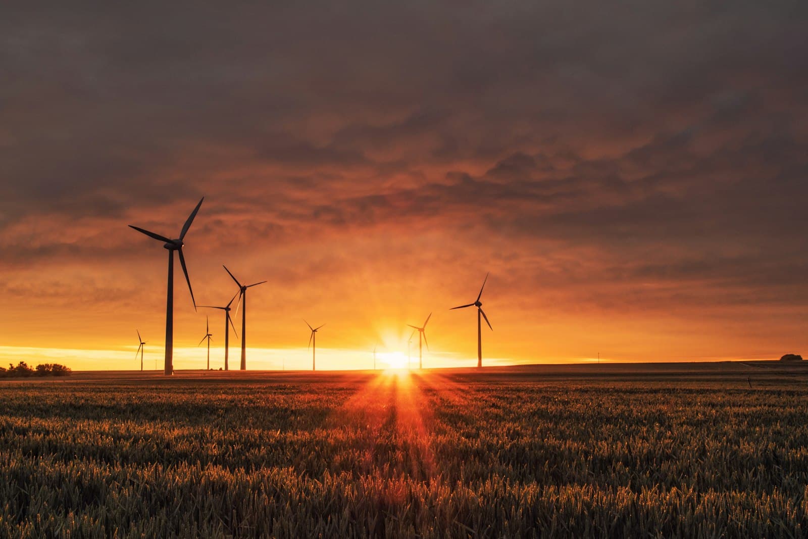 Clean renewable wind turbine array on open landscape